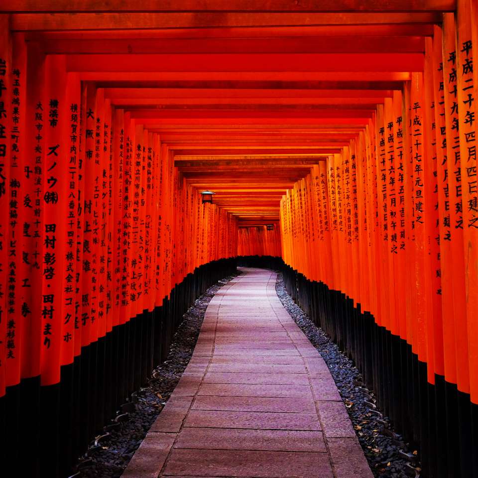 Japan Cherry Blossom Discovery Tour - Tweet World Travel - Japan - Image 7