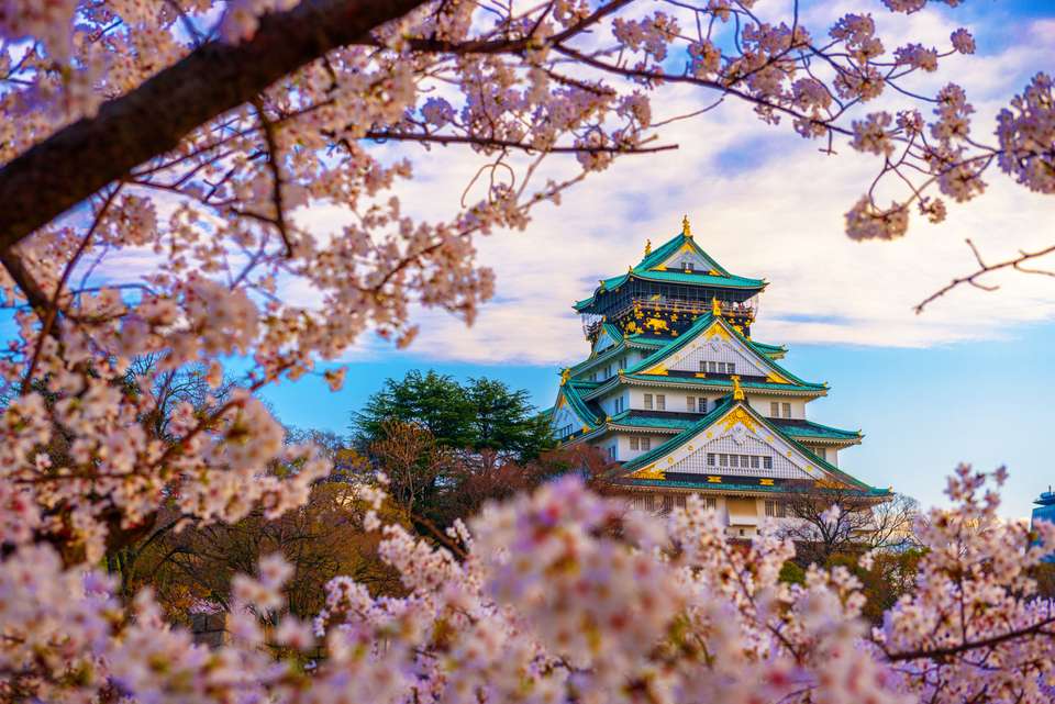 Japan Cherry Blossom Discovery Tour - Tweet World Travel - Japan - Image 8