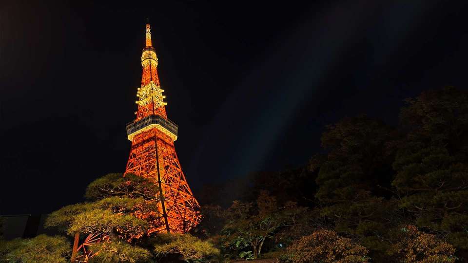 Japan Cherry Blossom Small Group Adventure - Bamba - Japan - Image 2