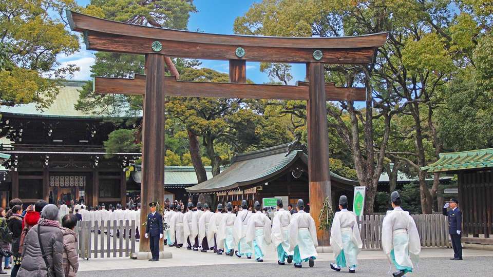Japan Cherry Blossom Small Group Adventure - Bamba - Japan - Image 4