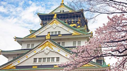 Japan Cherry Blossom Small Group Highlights - March 2027