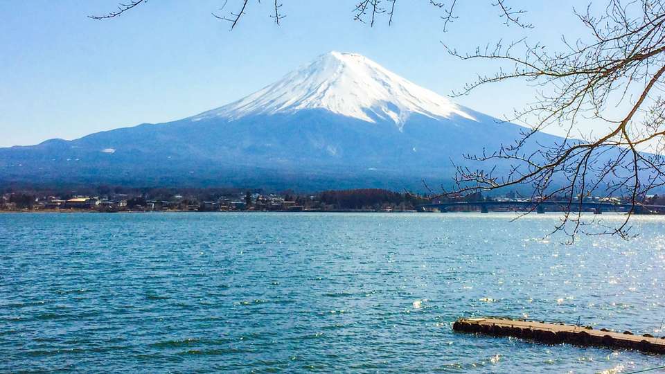 Japan Cherry Blossom Small Group Highlights - Bamba - Japan - Image 5