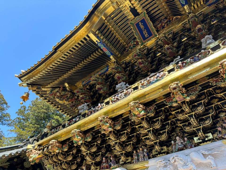 Japan In-depth Cherry Blossom Tour - Tweet World Travel - Japan