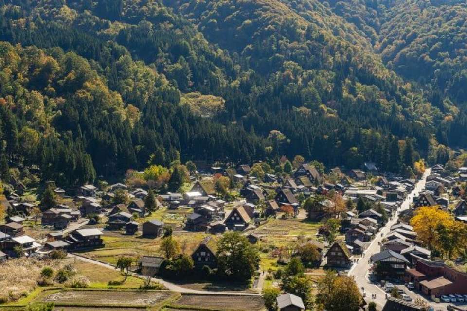 Japan In-depth Cherry Blossom Tour - Tweet World Travel - Japan