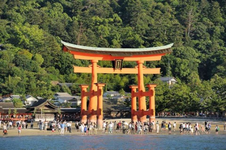 Japan In-depth Cherry Blossom Tour - Tweet World Travel - Japan