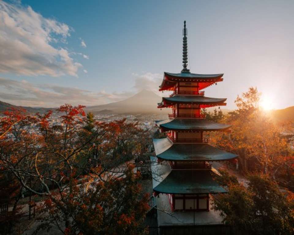 Japan Cycling Tour: Discover Japan's Heritage on Bike - undefined - Image 2