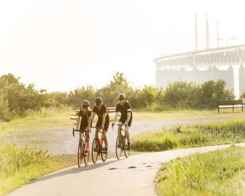 Japan Cycling Tour: Discover Japan's Heritage on Bike - undefined - Image 5