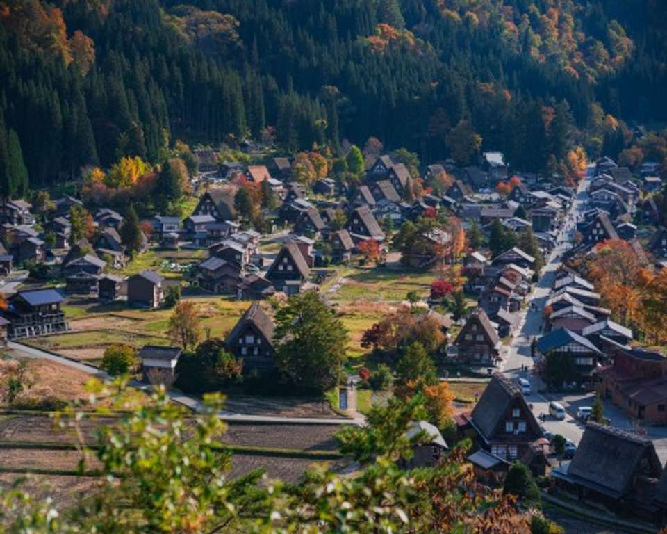 Japan Cycling Tour: Discover Japan's Heritage on Bike - undefined - Image 8