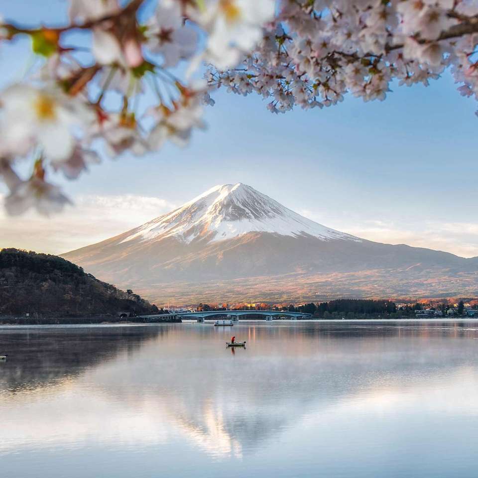 Japan Discovery - Costsaver - Japan - Image 5