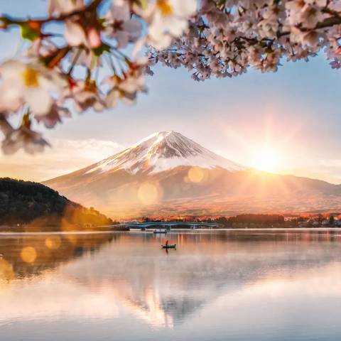 Japan Discovery - June 2027