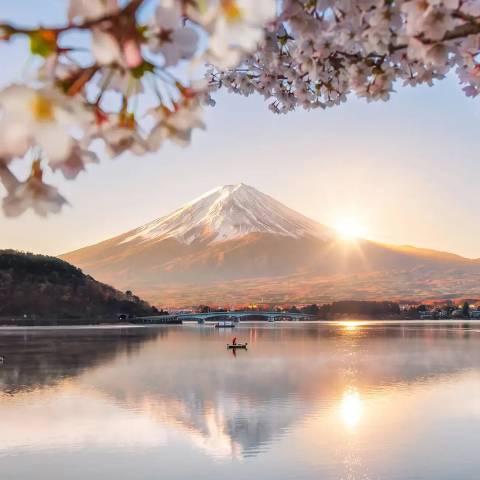 Japan Experienced Travelers: Japan Discovery