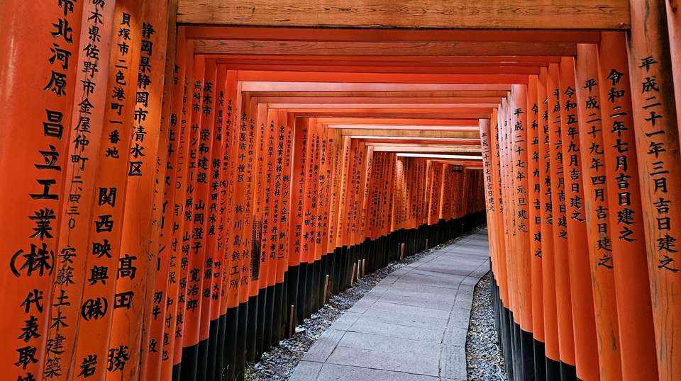 Japan Essentials – 9 Days - One Life Adventures Ltd - Japan - Image 11