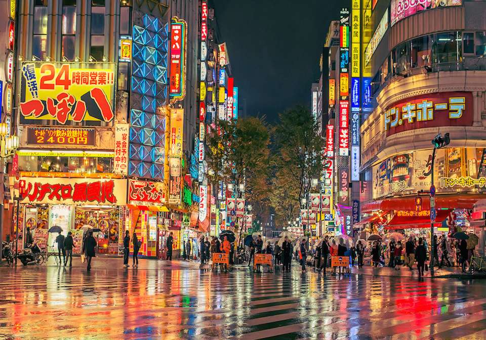 Japan Express - Indus Travels - Japan - Image 3