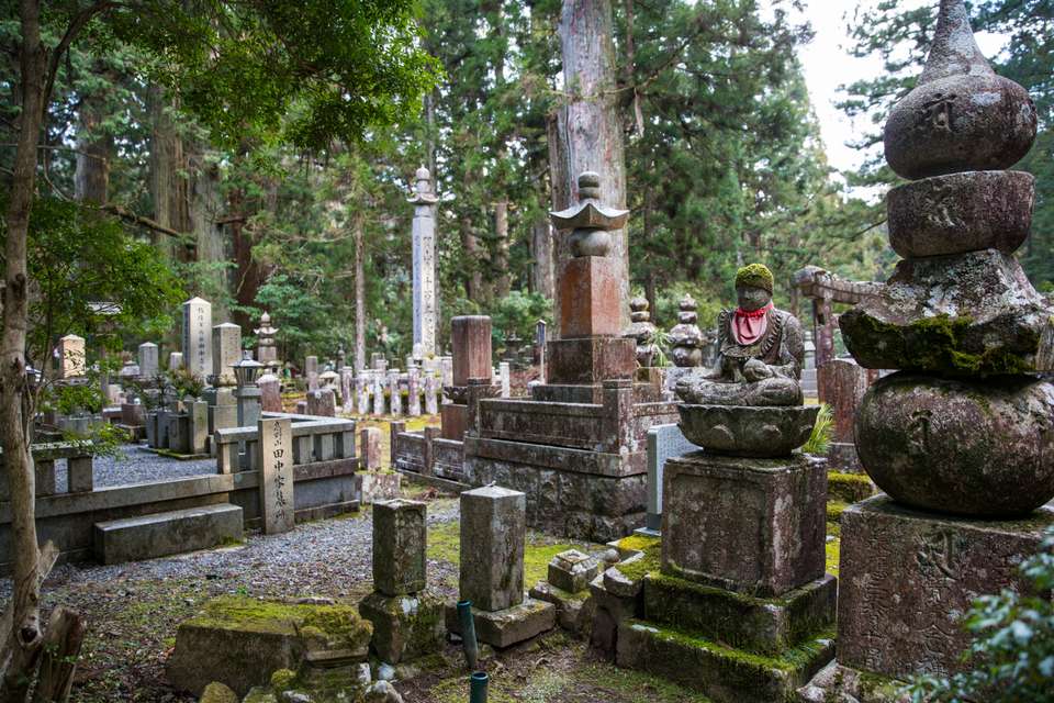 Japan Express – Osaka to Tokyo - G Adventures - Japan