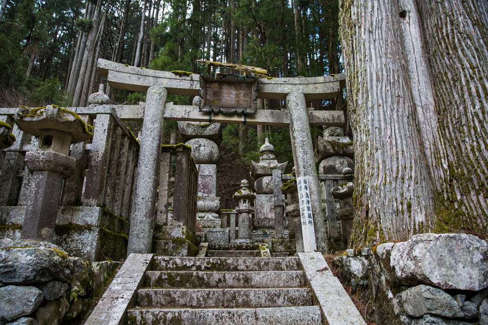 Japan Express – Osaka to Tokyo - G Adventures - Japan