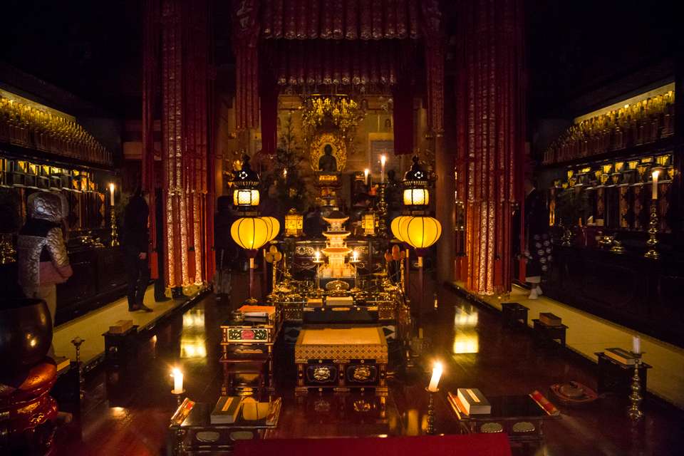 Japan Express – Osaka to Tokyo - G Adventures - Japan