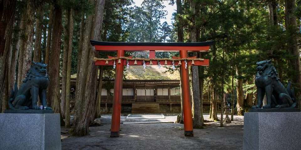 Japan Express – Osaka to Tokyo - G Adventures - Japan