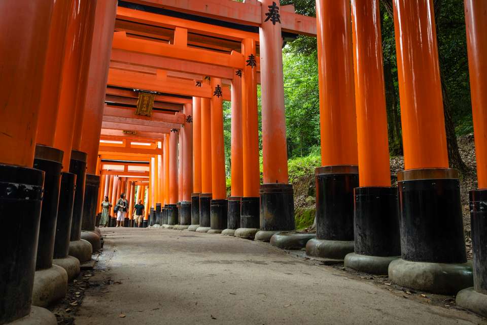 Japan Express – Osaka to Tokyo - G Adventures - Japan