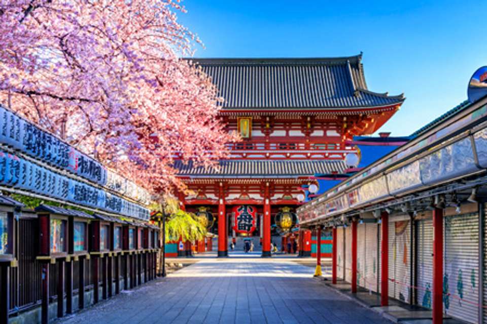 Japan Family Tour: Explore the Best of Japan - undefined - Image 2