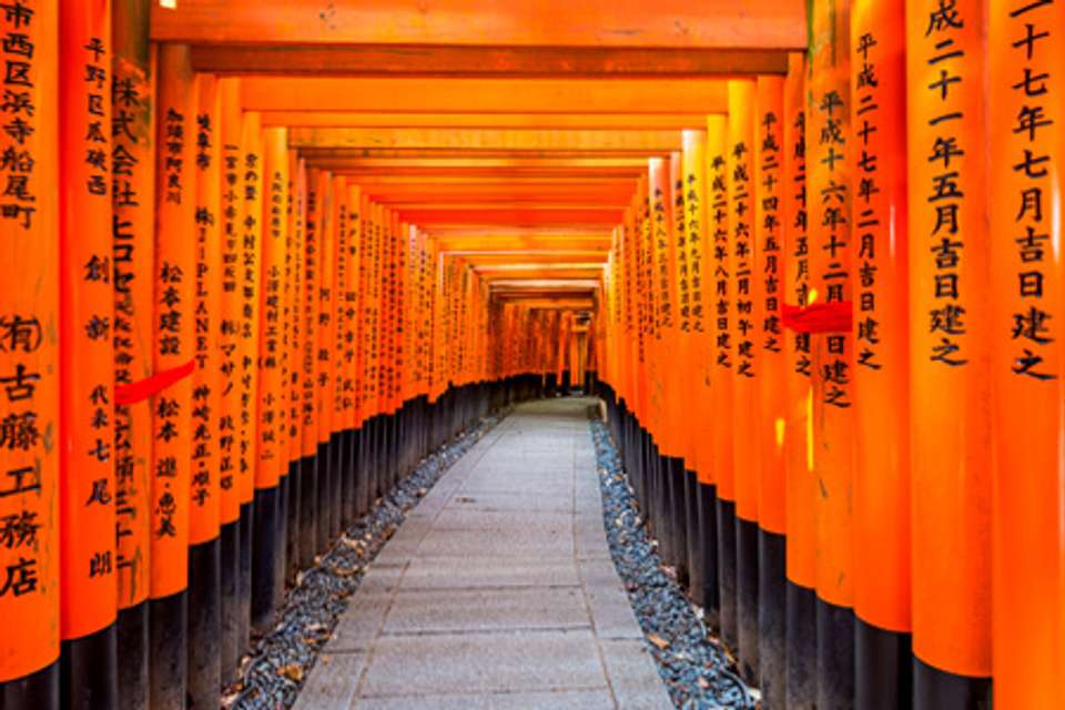 Japan Family Tour: Explore the Best of Japan - undefined - Image 9