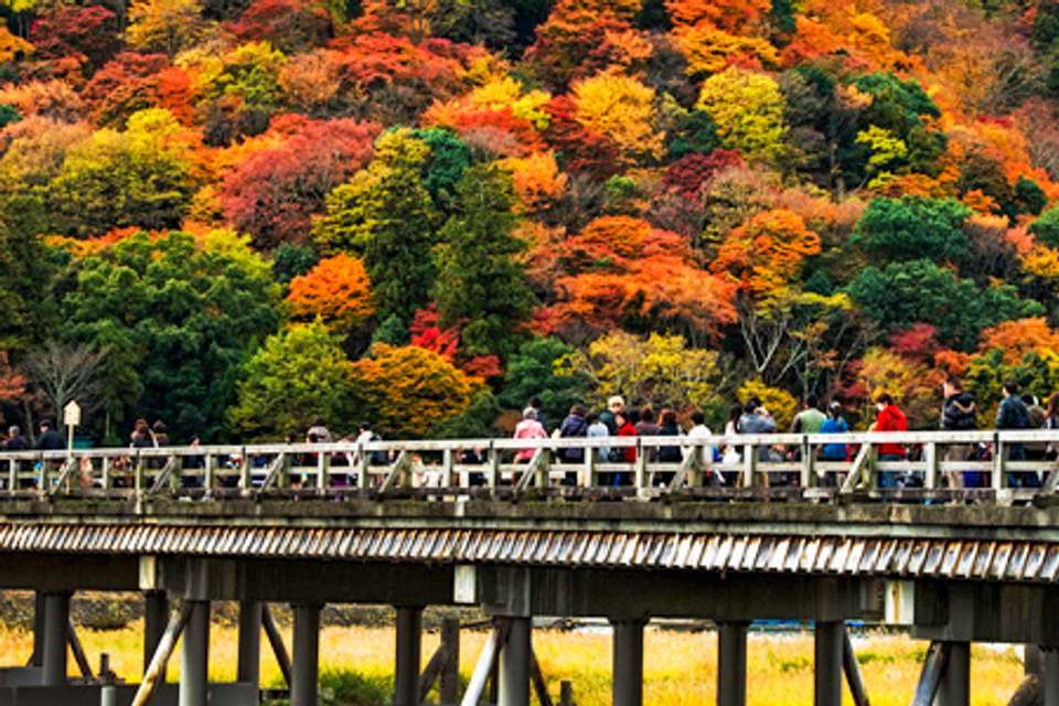 Japan Family Tour: Explore the Best of Japan - undefined - Image 12