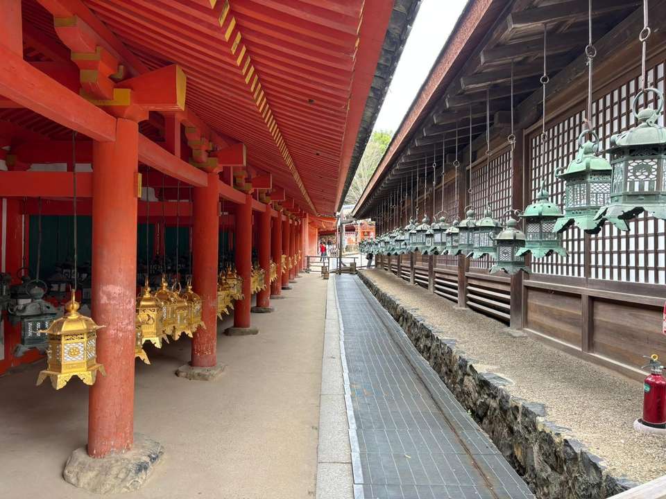 Image 6 of 8