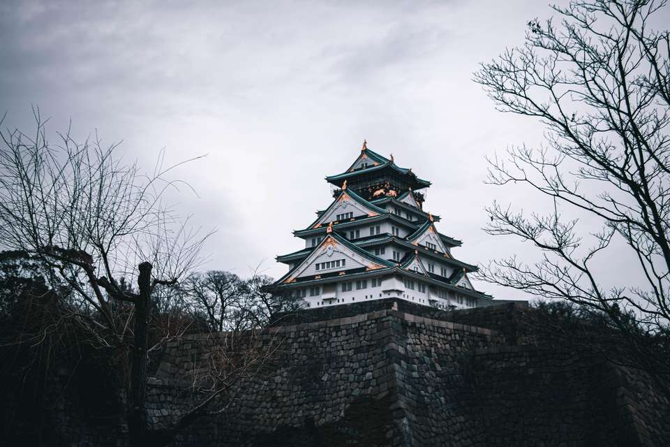 Image 9 of 9