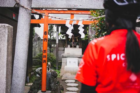 Japan Heritage