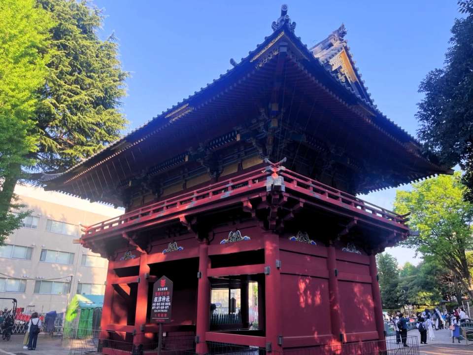 Image 8 of 8