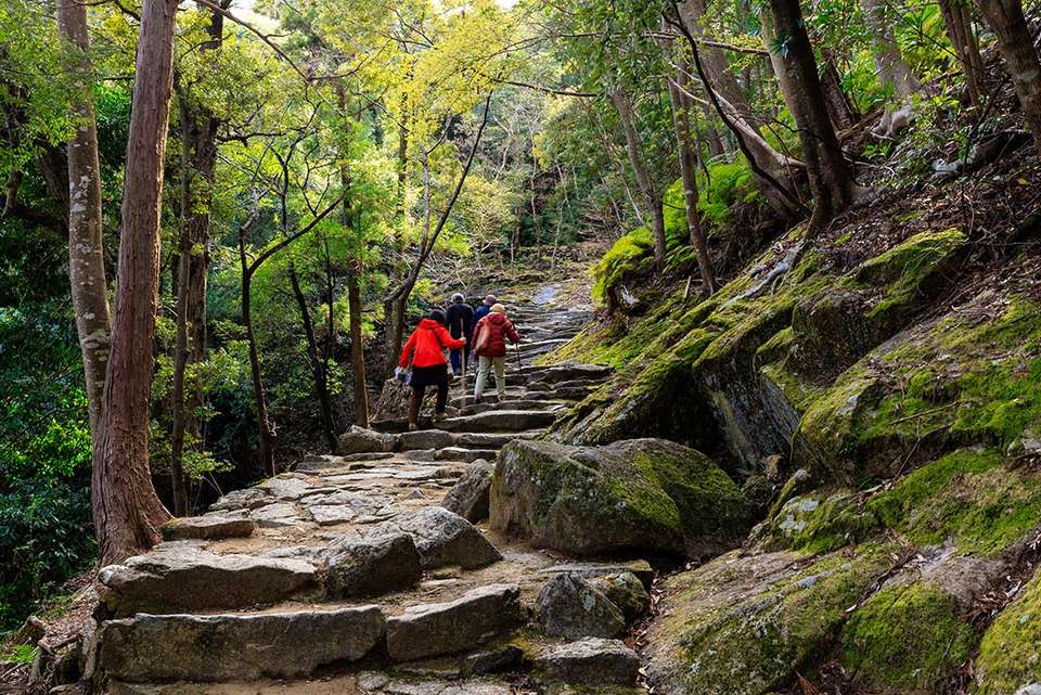 Japan: Hike, Bike & Kayak - Intrepid Travel - Japan