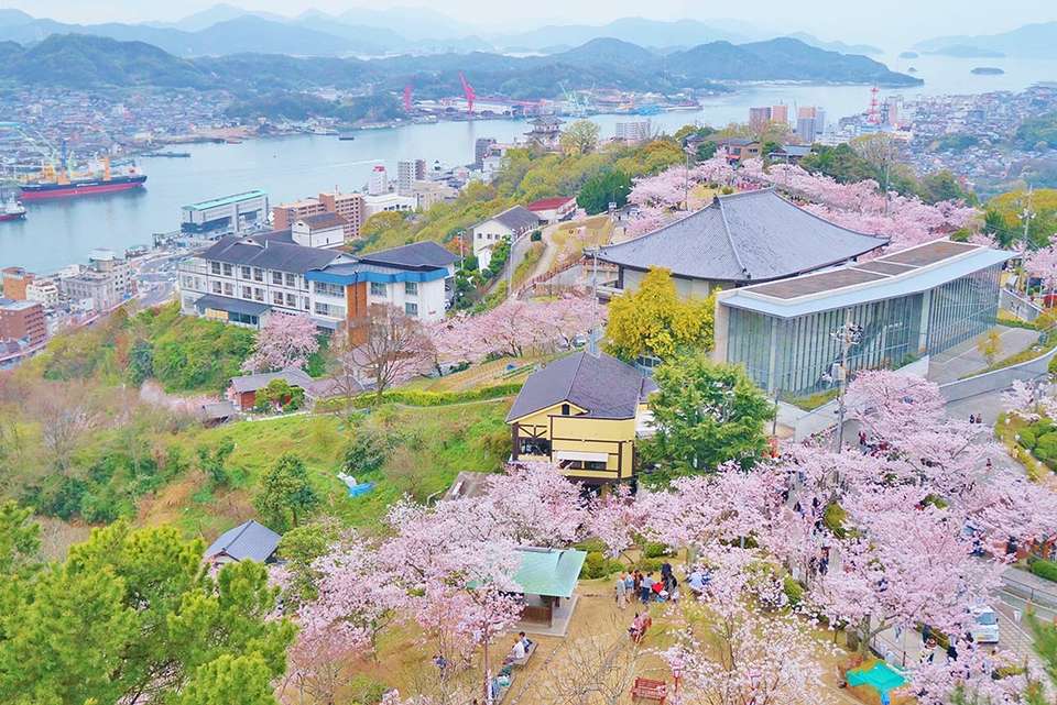 Japan: Hike, Bike & Kayak - Intrepid Travel - Japan