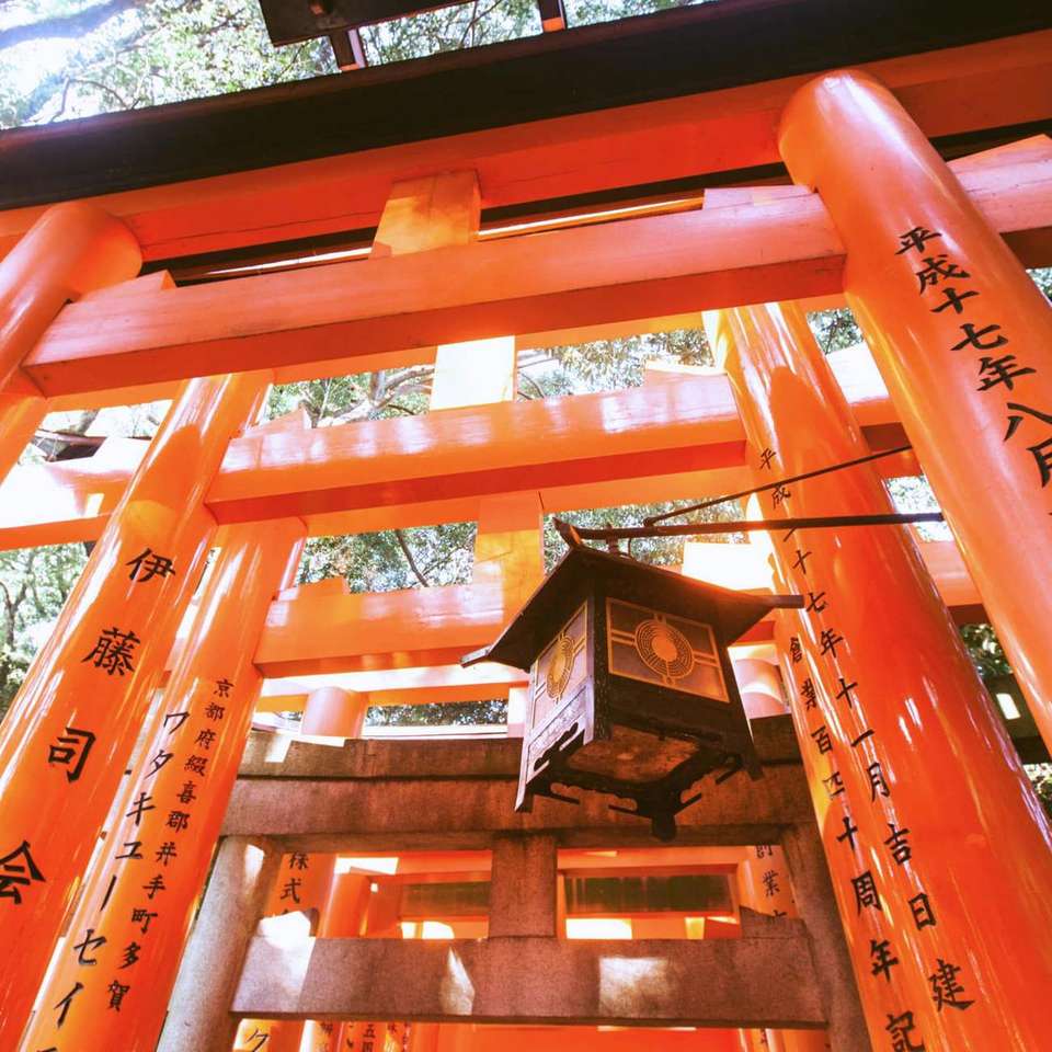 Japan in a Week - Contiki - Japan - Image 6
