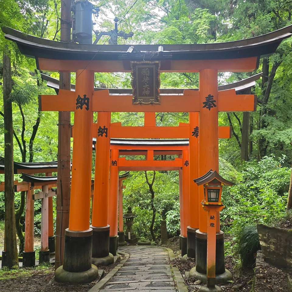 Japan In-depth Cherry Blossom Tour - undefined - Image 4