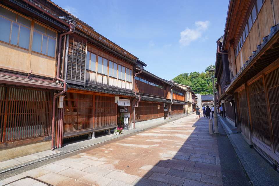 Japan In-depth Cherry Blossom Tour - undefined - Image 6