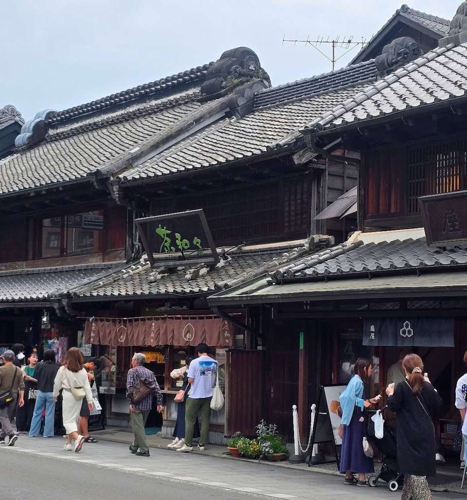 Japan In-depth Cherry Blossom Tour - undefined - Image 7