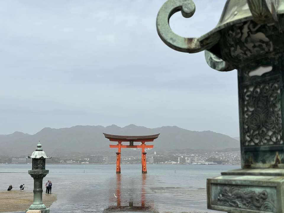 Image 11 of 11
