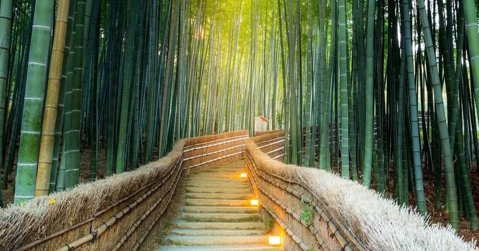 Japan In Depth - Footsteps of the Shogun - undefined - Image 9