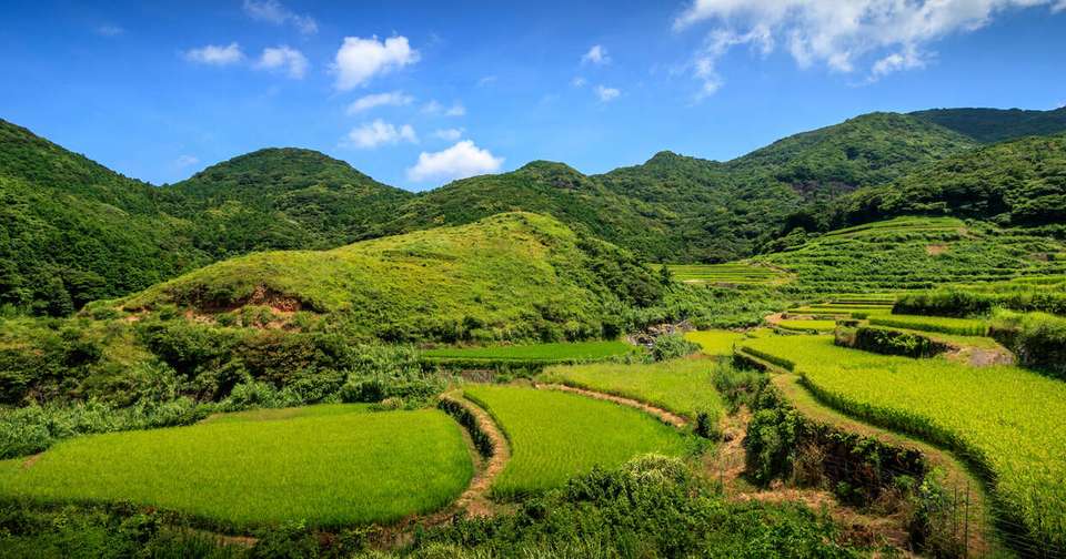 Japan In Depth - Footsteps of the Shogun - undefined - Image 12