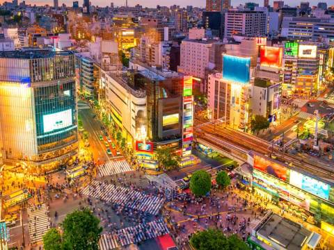 Japan In Depth - Footsteps Of The Shogun - 12 Days