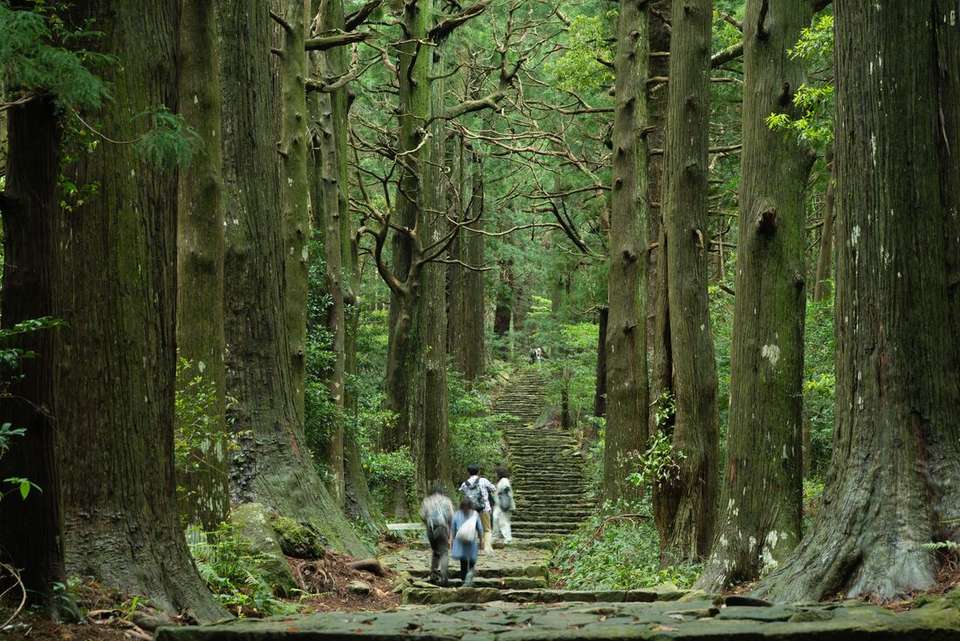 Japan: Koya-san & Kumano Kodo Trek - Intrepid Travel - Japan - Image 1