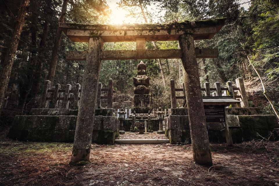 Japan: Koya-san & Kumano Kodo Trek - Intrepid Travel - Japan - Image 5