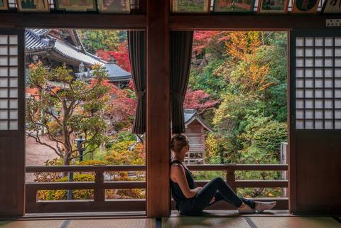 Japan: Land Of The Rising Sun - Spring Tours