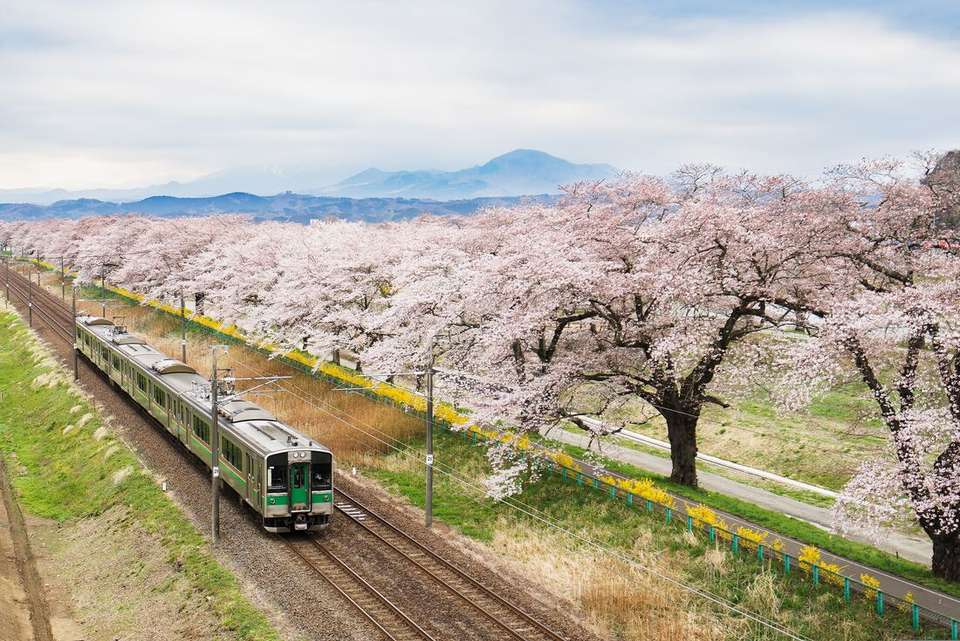 Japan: Land of the Rising Sun - Intrepid Travel - Japan - Image 8