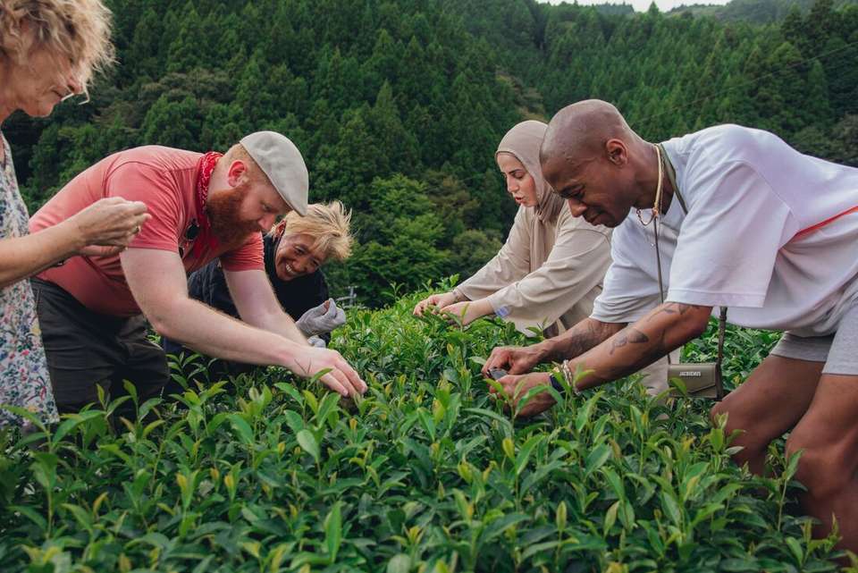 Japan Real Food Adventure - Intrepid Travel - Japan