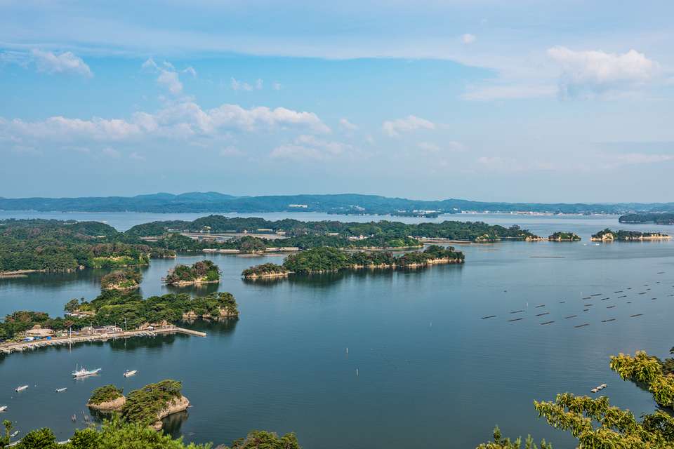 Japan's Captivating Cultural Odyssey - 8 days - On The Go Tours - Japan - Image 4