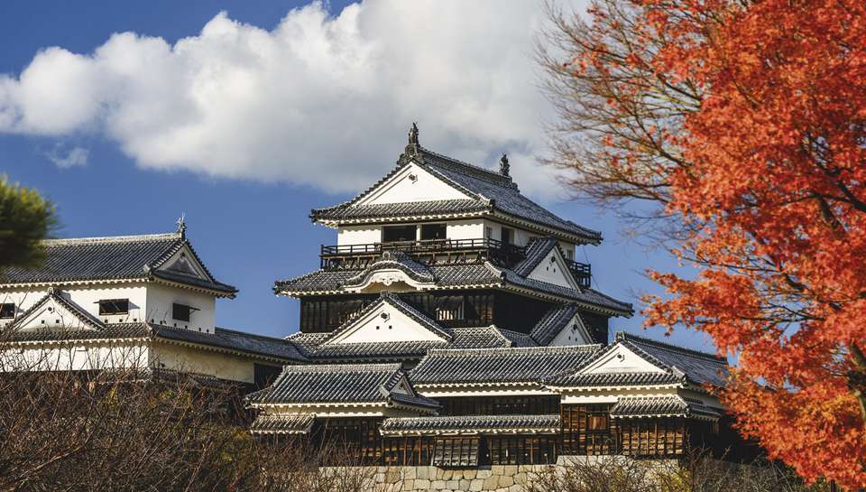 Japan's Enchanting Castles and Serene Shrines - 6 days - On The Go Tours - Japan
