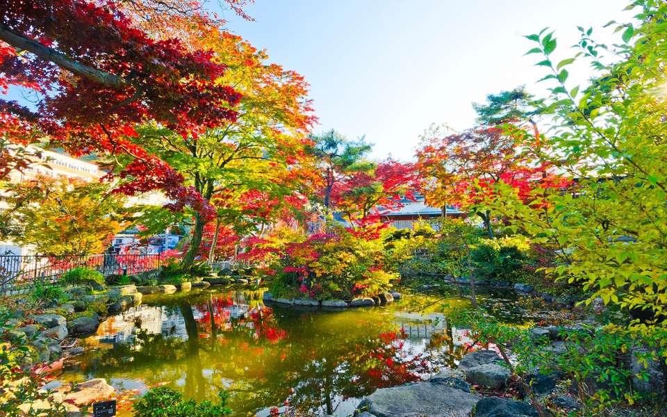 Japan´s Landscapes - Europamundo - Japan - Image 7