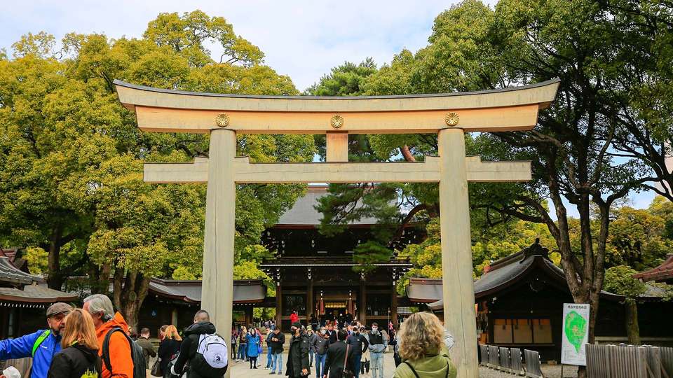 Japan Spring with Cherry Blossom(Mini Group) - undefined - Image 7