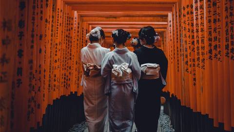Japan: Sushi & Shrines - November 2026