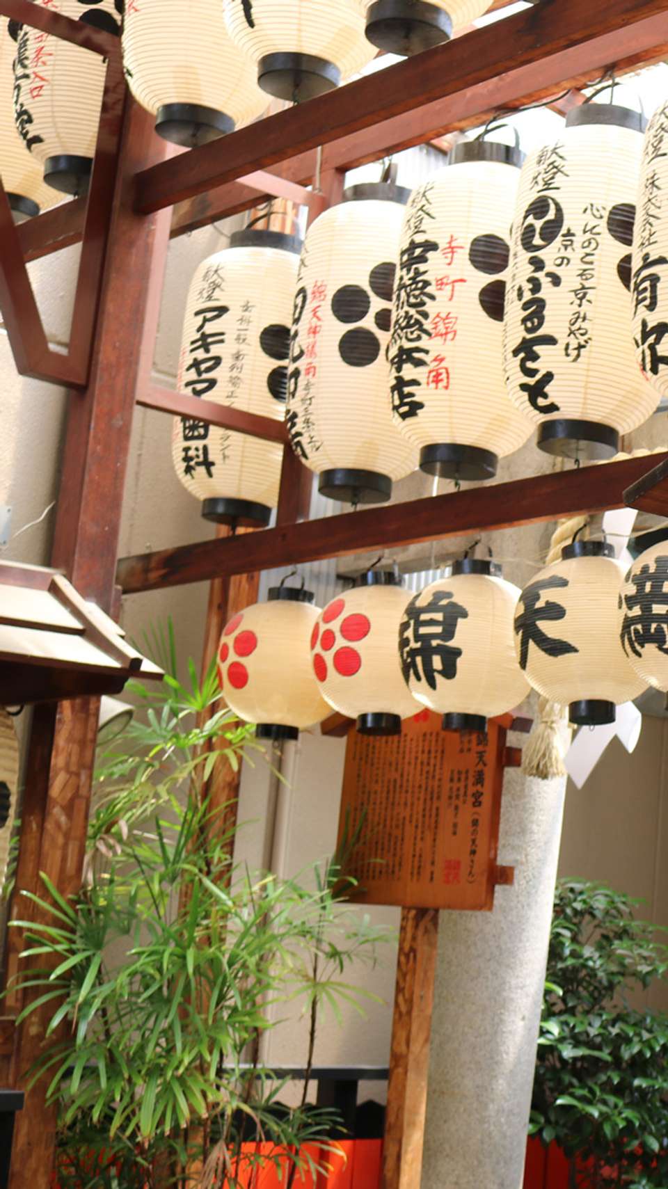 Japan: Sushi & Shrines - Topdeck - Japan - Image 3